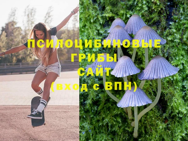 прущая мука Белокуриха